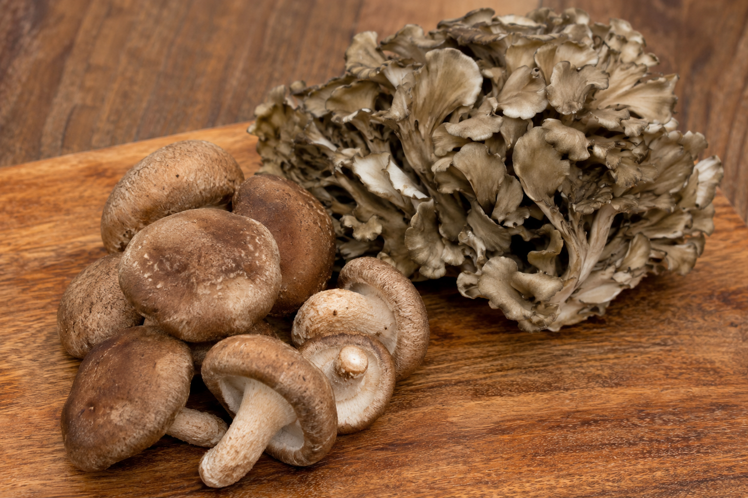 Better Together: Why Shiitake and Maitake Are a Dream Team for Your Dog