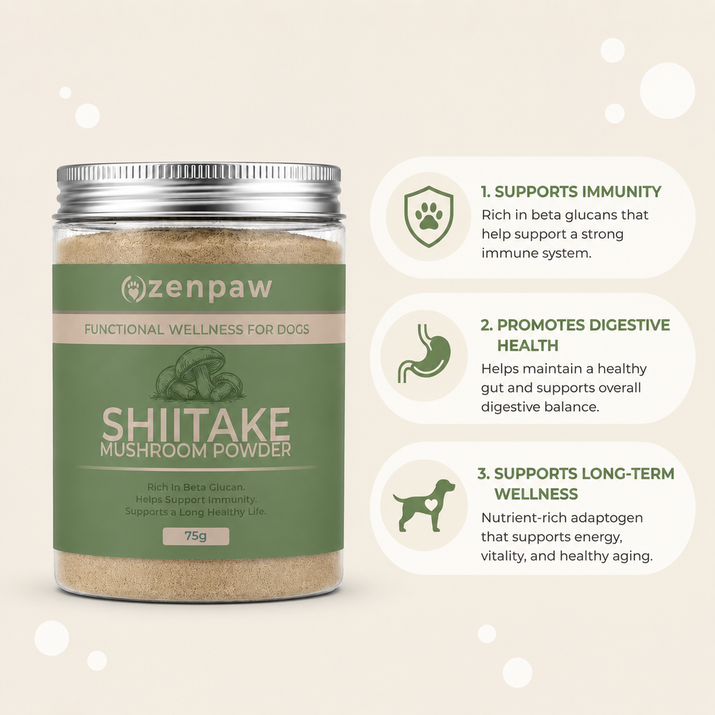 Shiitake for Dogs